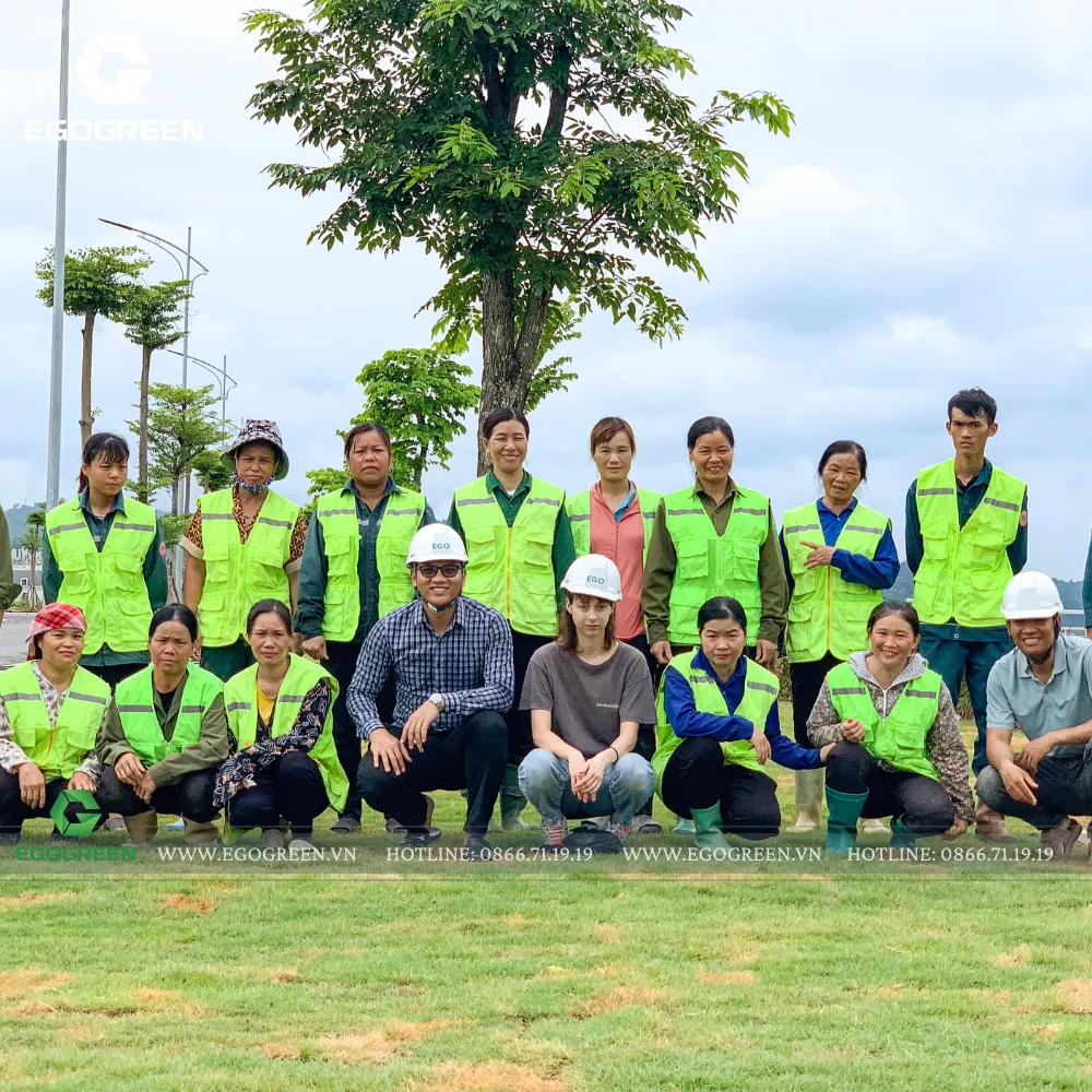 EGOGREEN với hơn 10 năm kinh nghiệm trong lĩnh vực cảnh quan xanh.